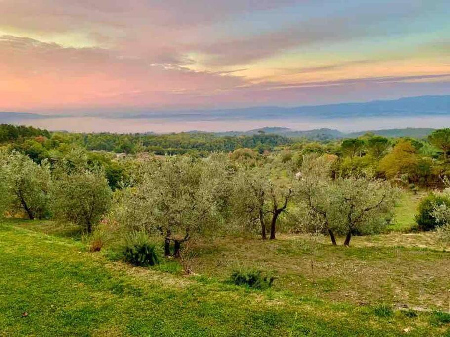 Vesper - Casale Con Piscina - Ad Galli Cantum Città della Pieve Екстериор снимка