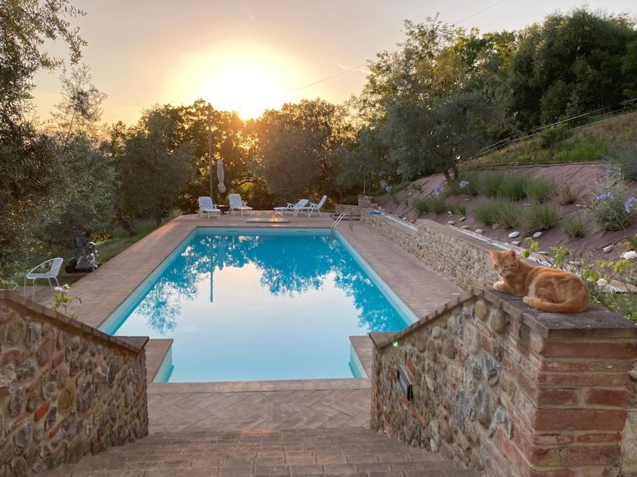 Vesper - Casale Con Piscina - Ad Galli Cantum Città della Pieve Екстериор снимка