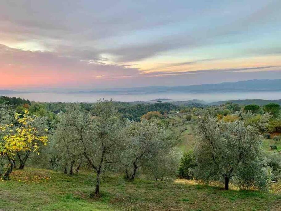 Vesper - Casale Con Piscina - Ad Galli Cantum Città della Pieve Екстериор снимка