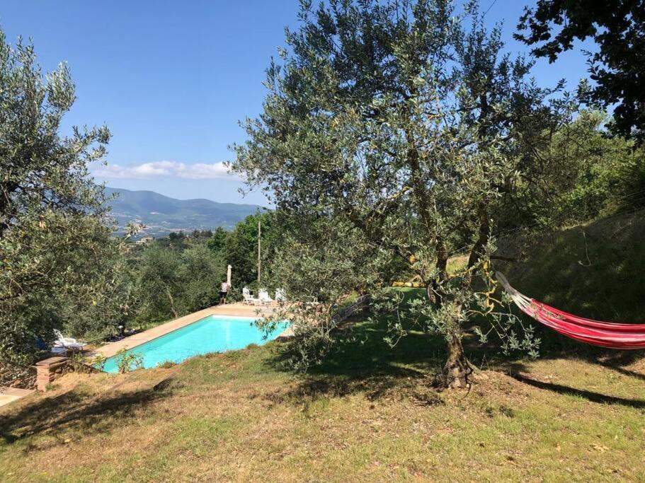 Vesper - Casale Con Piscina - Ad Galli Cantum Città della Pieve Екстериор снимка